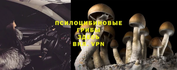 бошки Новокубанск