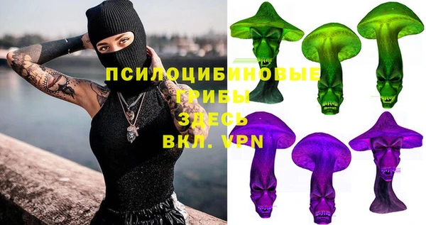 mdma Новозыбков