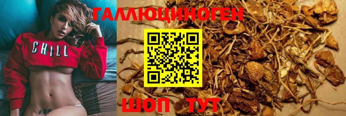 Псилоцибиновые грибы мицелий Верхняя Салда