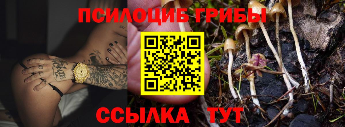 магазин продажи наркотиков  Верхняя Салда  Галлюциногенные грибы Magic Shrooms 