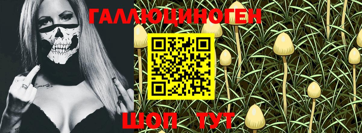 Псилоцибиновые грибы MAGIC MUSHROOMS  Вход с VPN  Верхняя Салда  Галлюциногенные грибы ЛСД 